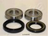 ASHIKA 44-17004 Wheel Bearing Kit